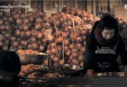 内行人爆料韩国泡菜视频,内行人带你走进传统发酵美食的世界