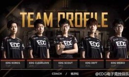 最新爆料edg,揭秘神秘爆料背后的真相与未来展望