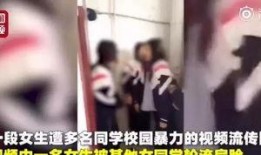 四川爆料女孩视频,揭秘背后真相