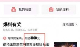 新版本头条如何爆料视频,一键生成，轻松揭露真相